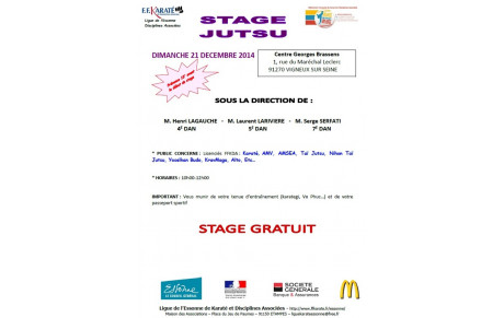 Stage Jutsu - 21 décembre 2014