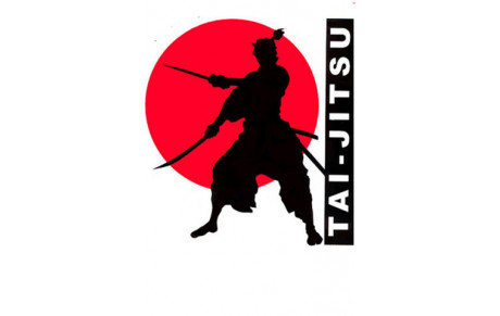 2 MEMBRES DE LA COMMISSION NATIONALE TAI-JITSU NOMMÉS EXPERTS FÉDÉRAUX 
